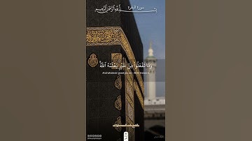 الحج أشهر معلومات | سورة البقرة | ياسر الدوسري #قرآن #اكسبلور #ذلك_الدين_القيم