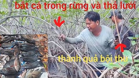 Trải nghiệm vào rừng thả lưới và bắt cá bằng tay không thành quả bất ngờ