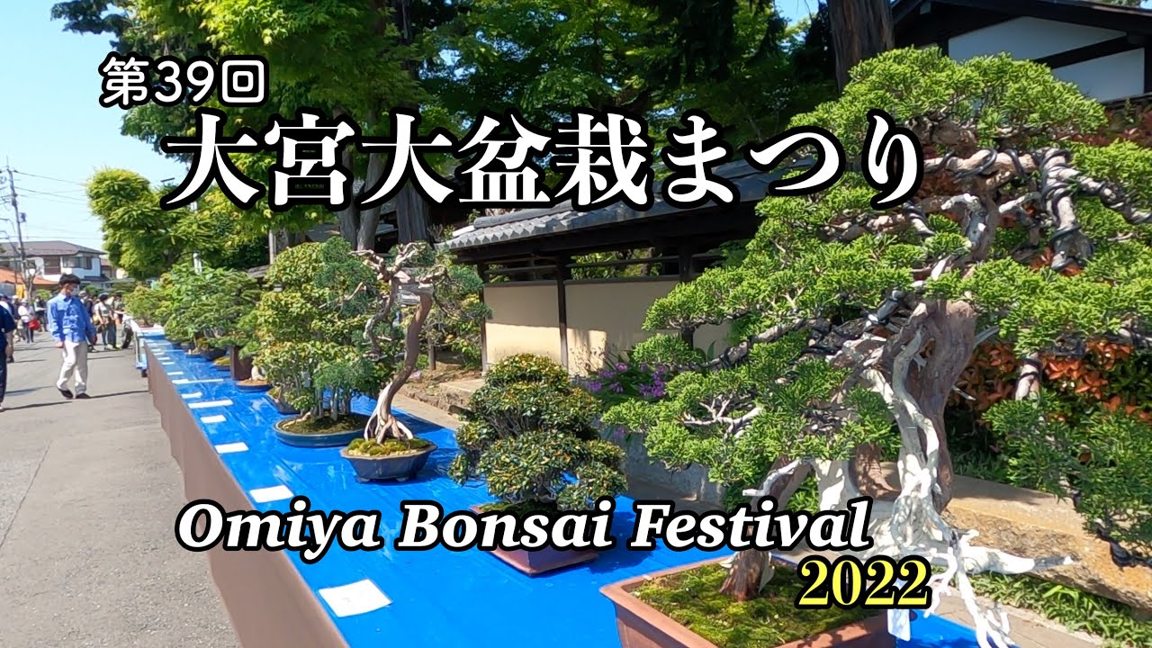 大宮 大盆栽まつり22 Omiya Bonsai Festival 22 Youtube
