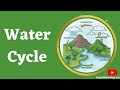 Water Cycle | ecology and environment| #upsc #neet #environment #biology