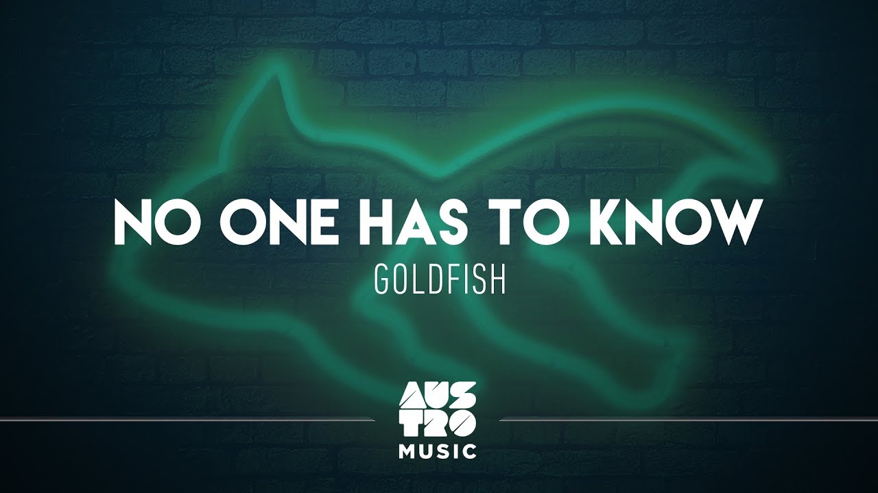 Goldfish No One Has To Know Singer