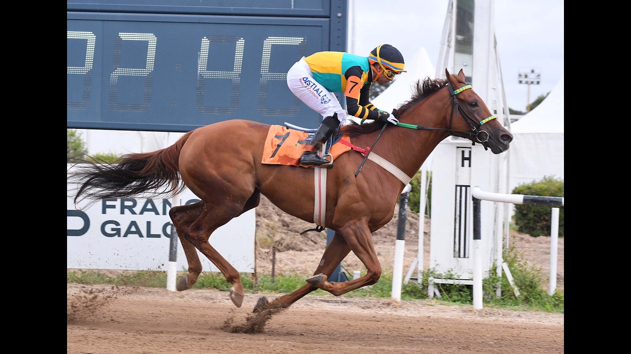 Handicap Ipe 2026 - Victoria Bayern (Santillano)