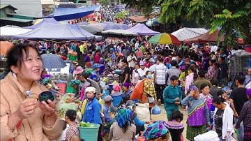 Độc Lạ Chợ Phiên Biên Giới SÍN CHÉNG Người Mông Hoa Bán Toàn Đồ Rừng | Miền núi tây bắc