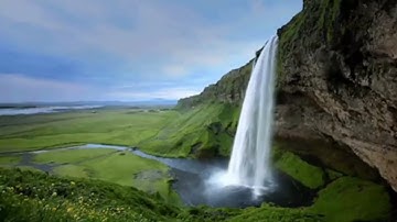 من سوره البينه الي سوره الفجر