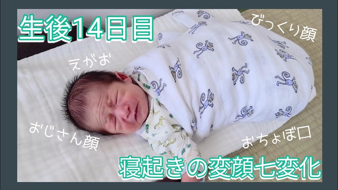 新生児 生後14日目の寝起き 変顔赤ちゃん New Born Baby Vlog Youtube