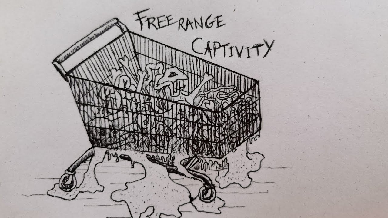 Runaway Shopping Trolley YouTube