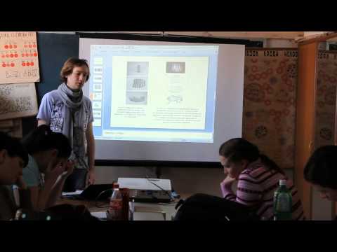 Синергетика Биологическая самоорганизация. 28 01 12