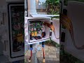 Solar Powered Raspberry Pi Zero + AI Camera!