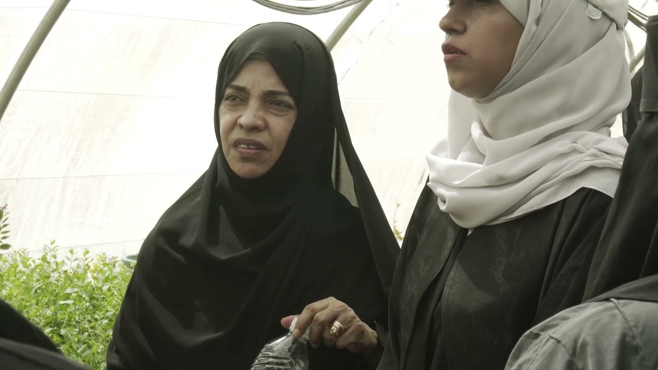 رائدات مجتمعيات لقيادة التكيف المناخي في أبين