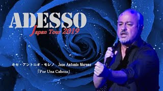 《Live》Jose Antonio Moreno「Por Una Cabeza」ーADESSO Japan Tour 2019