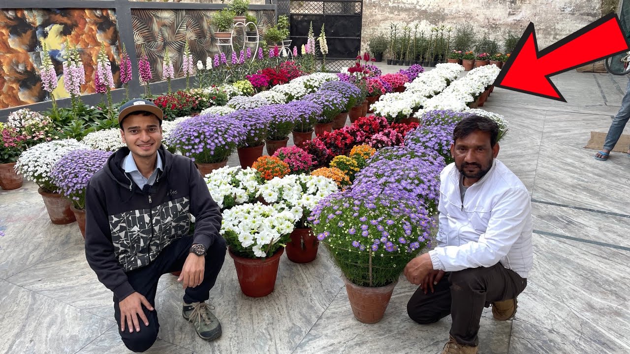 ऐसी Flower कलेक्शन कहीं नहीं देखी 😍 गार्डन लवर्स के लिए जन्नत!