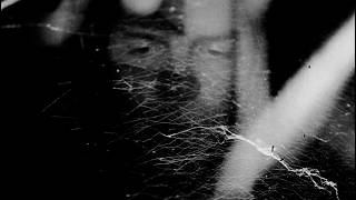 A Black Moon - Tigercub