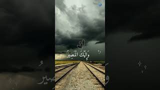 Sakoon 😘😘😘#shortvideoviral #motivation #shortvideo #unfrezzmyaccount