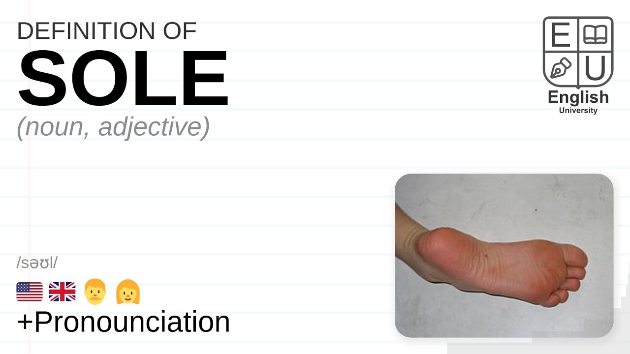 SOLE Meaning Definition Pronunciation What Is SOLE How To Say 