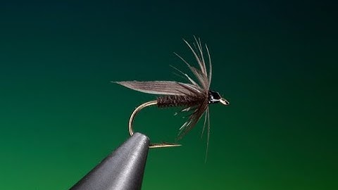 Fly Tying a # 16 Black Gnat wet fly with Barry Ord Clarke