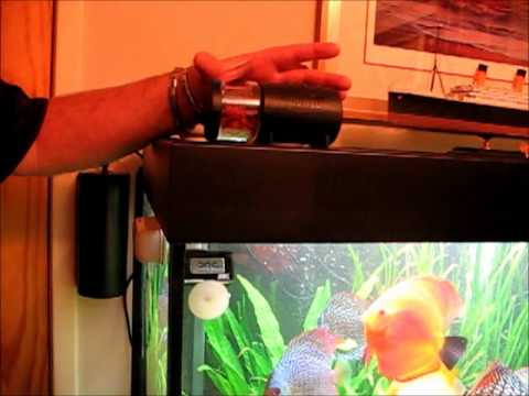 juwel auto fish feeder