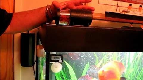 Auto feeder by juwel