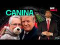 Salinas Pliego es la 🐶 de TRUMP | México vs Sudáfrica un ÉXITO | JULIÁN MAZOY en SDPtarde 🌤️