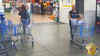 Suspects Using Stolen Credit Cards