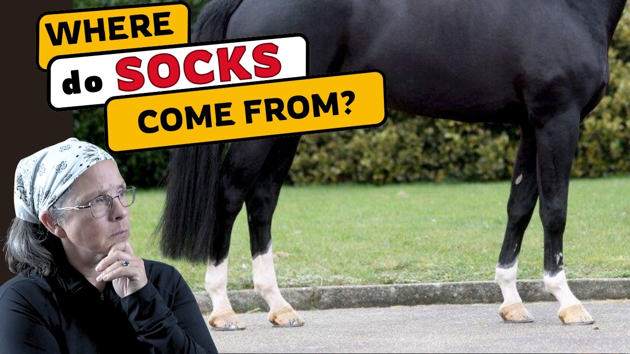 The Surprising Reason Domesticated Horses Have White Markings!