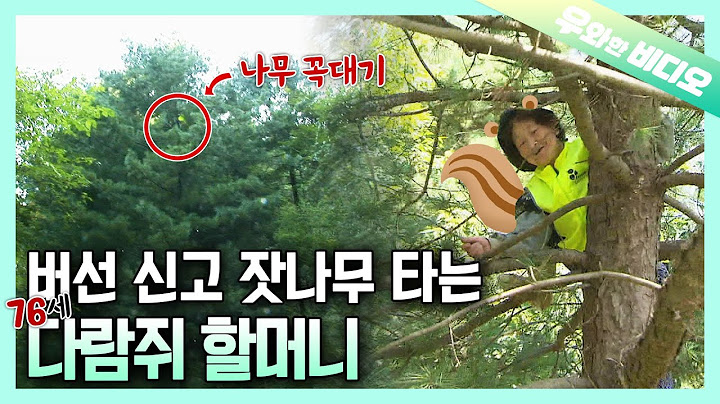 40년동안 매일 나무 꼭대기에 오르는 다람쥐 할머니🐿️┃A Chipmunk Grandma Who Has Climbed Trees For 40 Years🐿️
