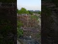 Rani Waterfall Shorts Video 2023