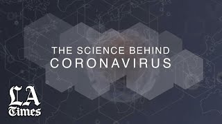 The Science Behind the Coronavirus, Series I
