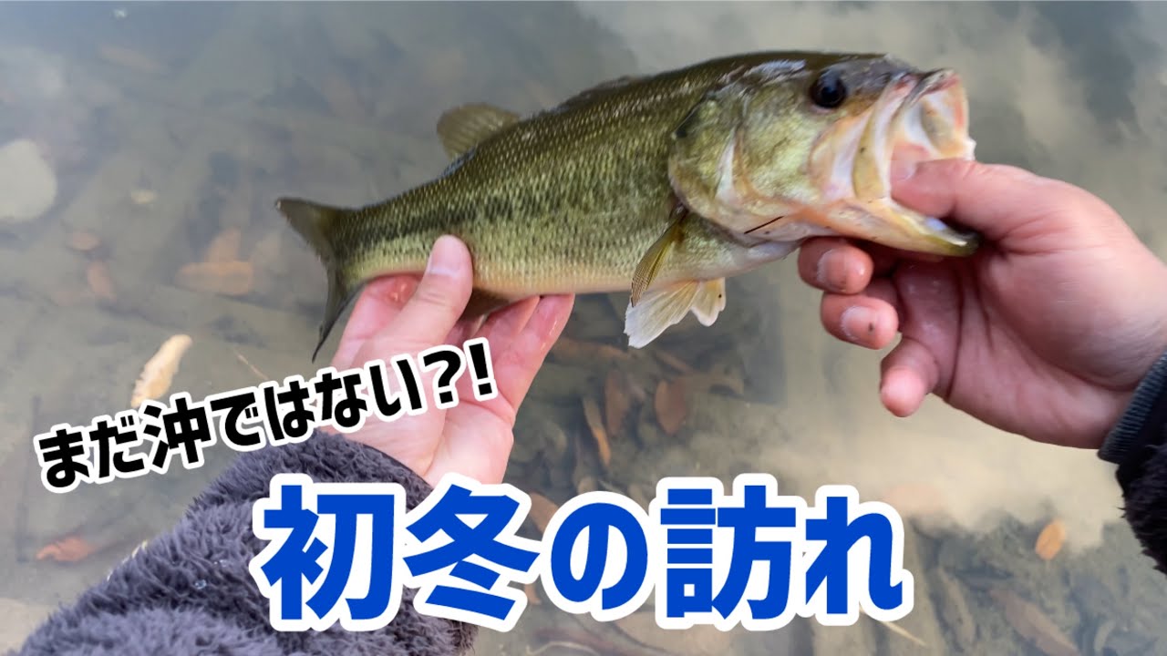 【バス釣り】12月中旬 まだ触れる 低水温期