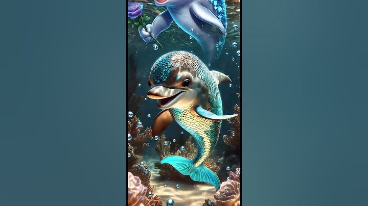 "Dolphin Plays Fetch Like a Dog!? You HAVE To See This! 🌊🎾"#Animals #Wildlife