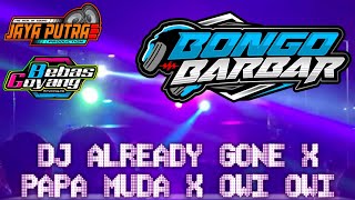 Download Lagu DJ Already Gone x PapaMuda x owi owi spesial jingle JPaudio MP3