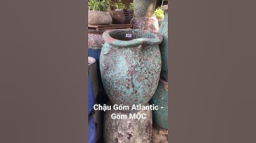 Chậu Gốm Atlantic  Miệng Trái tim - Gốm MỘC
