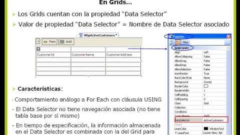 5-Utilización de Data Selector en Grids