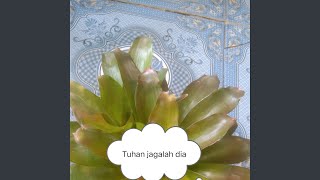 Download Lagu Tuhan jagalah dia MP3