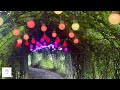 Pochan Art Valley south korea #travel #reels #tourist #southkorea