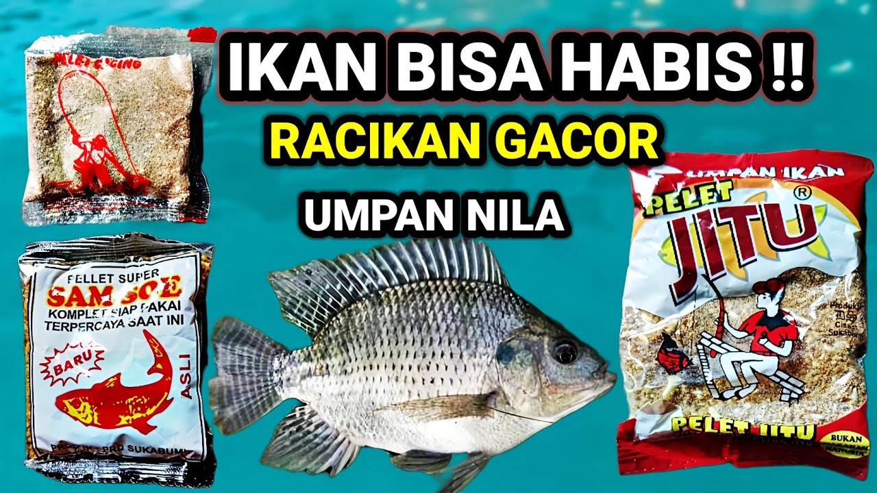 INI DIA‼️RACIKAN UMPAN IKAN NILA PALING JITU || racikan umpan, mancing ikan nila