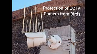 CCTV Camera Protection from Birds