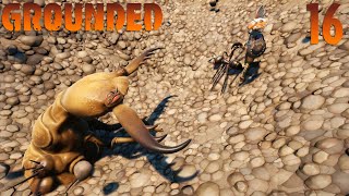 Lets Play Grounded Ep.16 Sizzling Sands And Snatching Jaws
