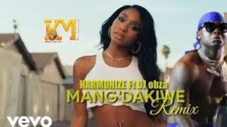 Dj obza ft harmonize-mang'dakiwe remix