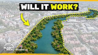 We Built a Wildlife Corridor Through a City Overall Corridor