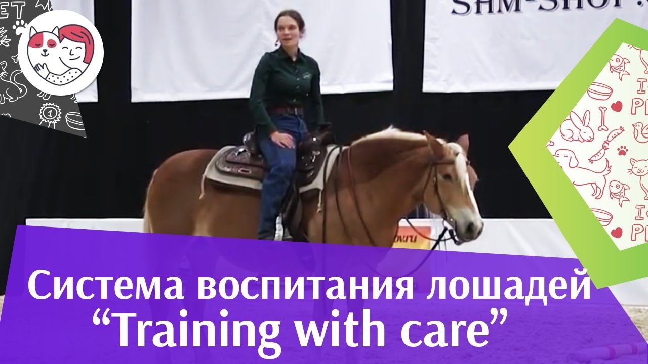 питомцы кукол лол Шоу презентация системы воспитания Training with care Ч 2 Дарья Бойцова ЭКВИРОС 2016 iLikePet