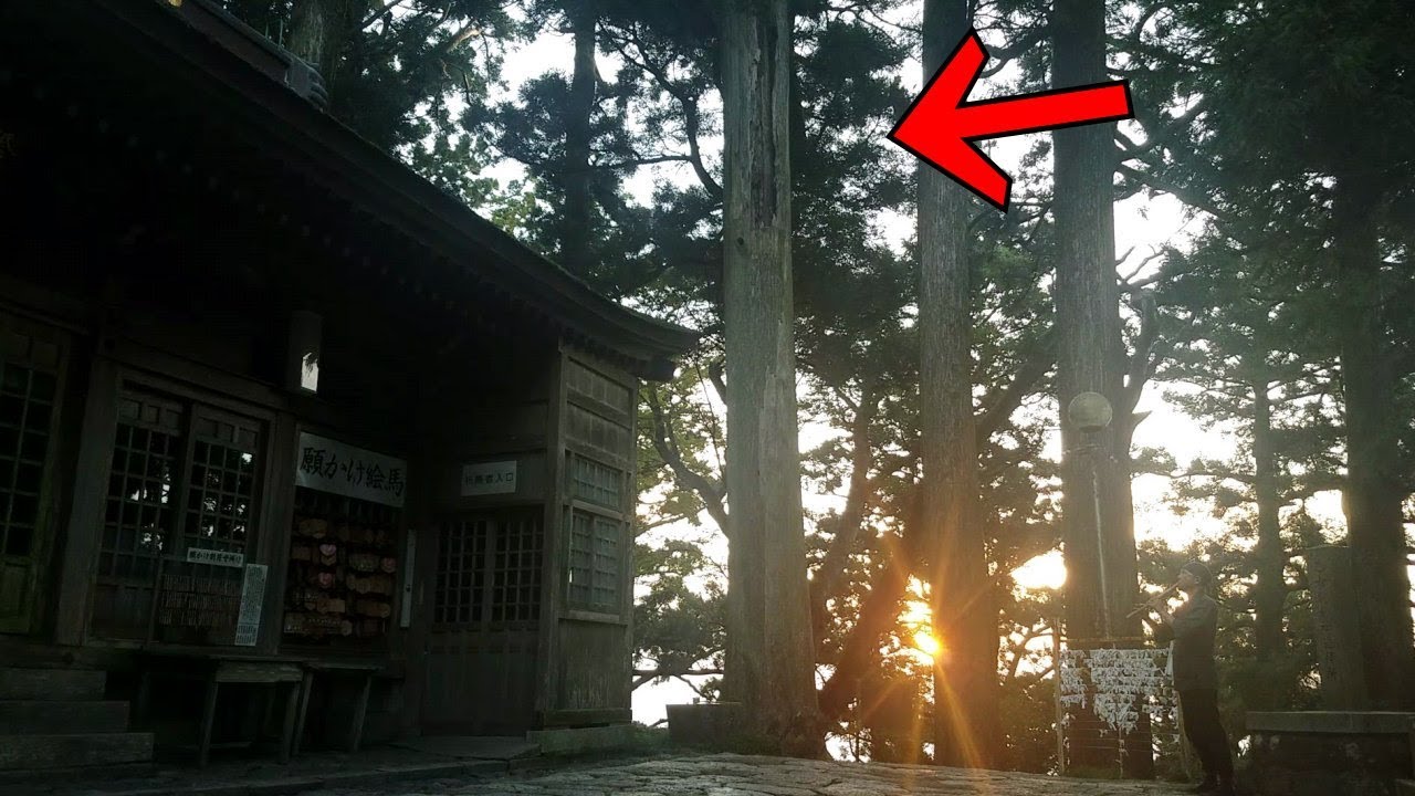 天狗寄木の神！見ると奇跡が！砥鹿神社・奥宮（愛知）バーチャル参拝2019年版