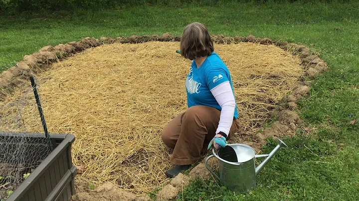 Gardening with Heather  Growing Asparagus