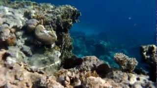 Rollei Bullet 4s testing video actioncam underwater.wmv