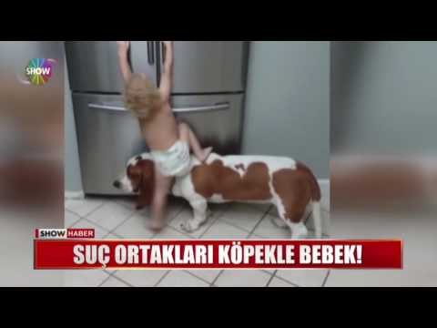 Suç ortakları köpekle bebek!