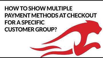 How to show multiple payment methods at checkout for a specific customer segment?