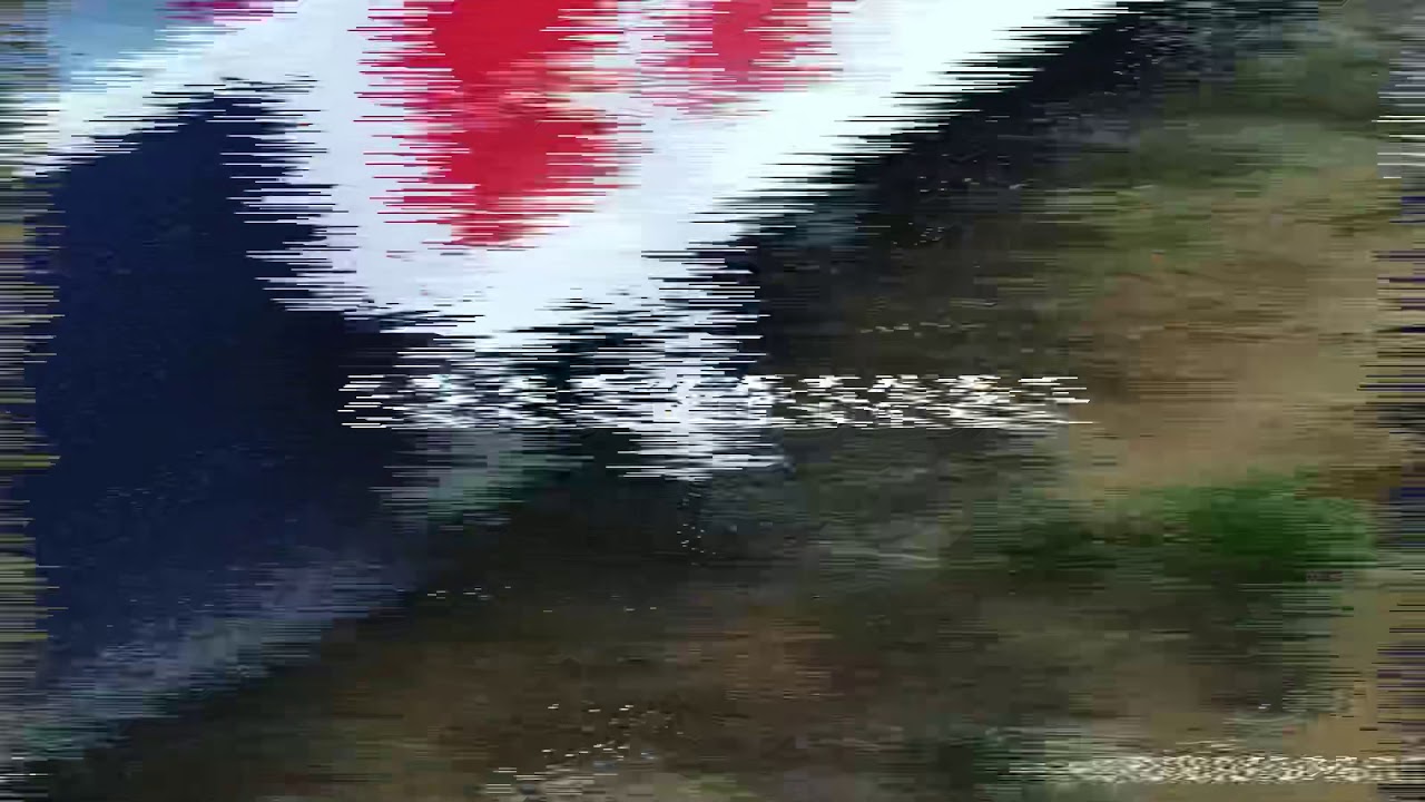 Погреб Рекорд на Мега Дыбенко - YouTube