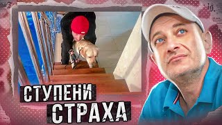СТУПЕНИ СТРАХА (Лабрадор Ральф) СТУПЕНИ СТРАХА (Лабрадор Ральф)