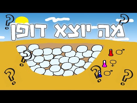 משחק מה יוצא דופן?! רק גאונים מצליחים עד הסוף 😮