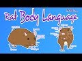 Pet Rat Body Language