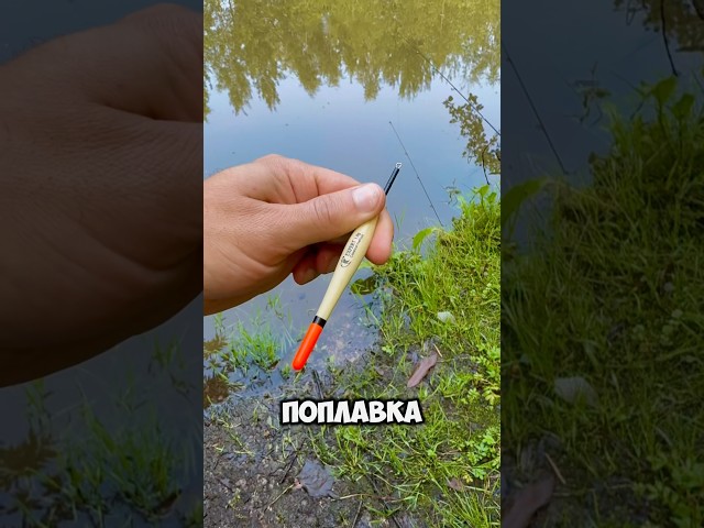 Главные ошибки при ловле карася #рыбалка #поплавок #карась